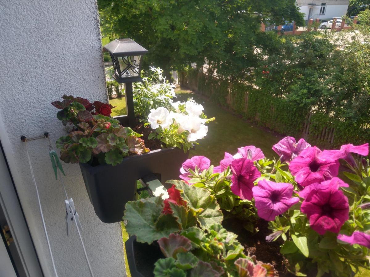 Apartament Olivia Centrum Z Zamknietym Parkingiem Gdańsk