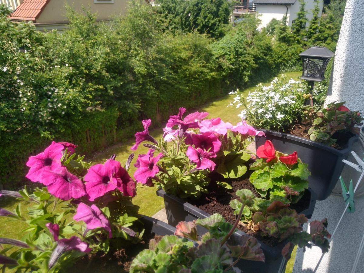 Apartament Olivia Centrum Z Zamknietym Parkingiem *